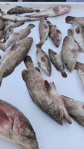 Restaurant & Kitchen Jewels Sea - Hospitality and gastronomy