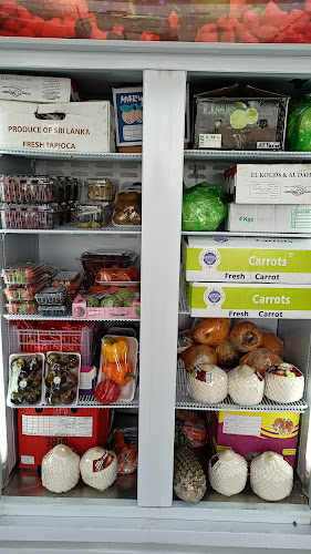 E11 - Dhaya - Ras Al-Khaimah