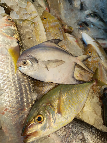 Comentarii opinii despre Al Maqta Fresh Fish-المقطع للأسماك