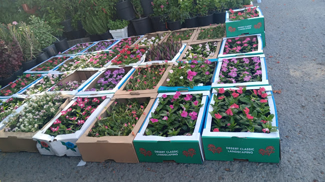 Al Doum St - Zayed Port - Harbour - Abu Dhabi