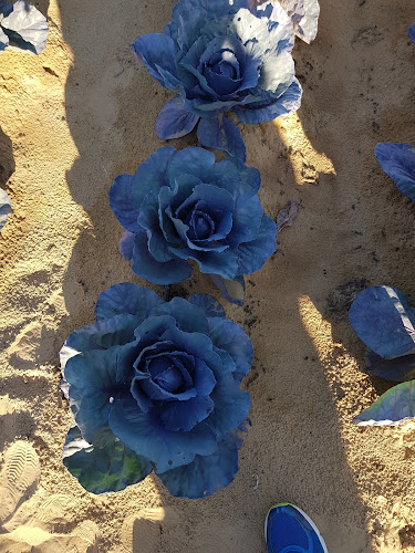 Comentarii opinii despre Organic Oasis Farm