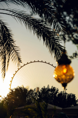 Comentarii opinii despre Amaseena