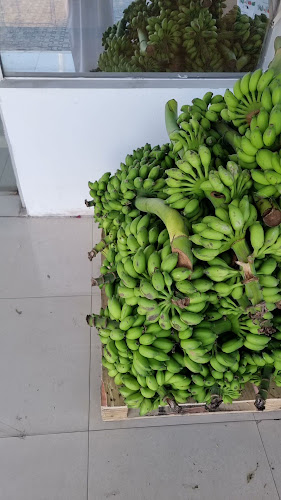 المجالس لتجارة الخضار والفواكه - Abu Dhabi