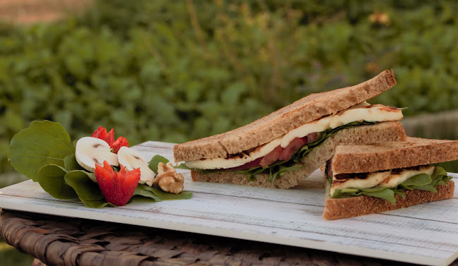 Healthy Choice Restaurant مطعم الاختيار الصحي