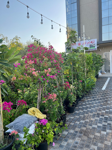 Comentarii opinii despre RR FOLWERS