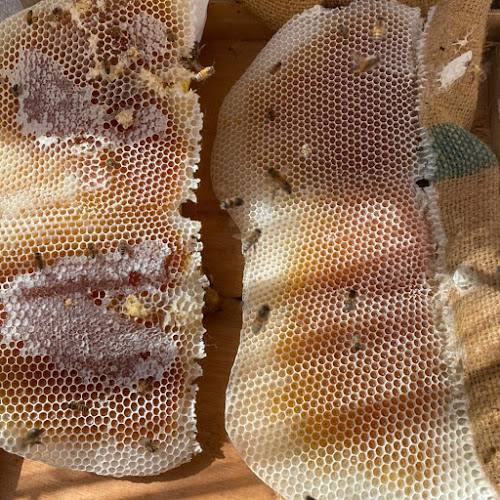 Comentarii opinii despre عسل طبيعي عسل سدر وعسل سمر 100% honey.rak