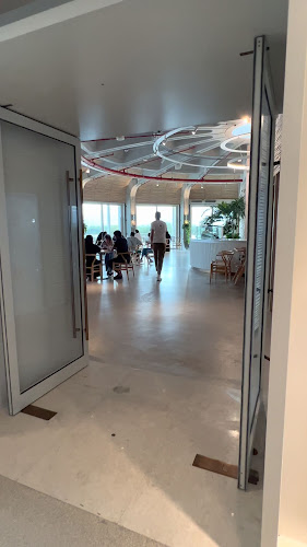 Mangrove - Kalba - Sharjah