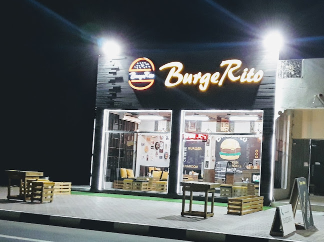 Comentarii opinii despre Burgerito