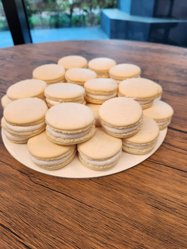 Comentarii opinii despre Kake Planet