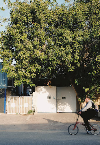 Birch Bakery - Hospitality and gastronomy