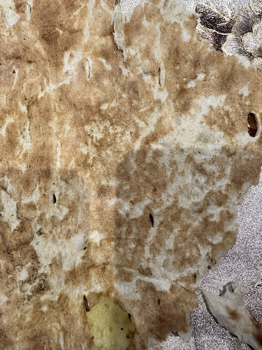 8F52+257 - Muwaileh Commercial - Industrial Area - Sharjah