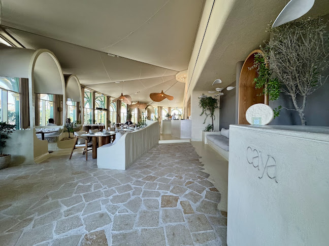 Caya - Hospitality and gastronomy