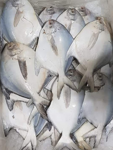 Comentarii opinii despre Shabaka and Senara Seafood Restaurent