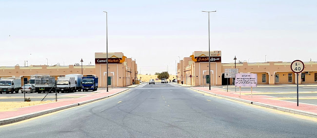 Dubai Camel Market - Dubai