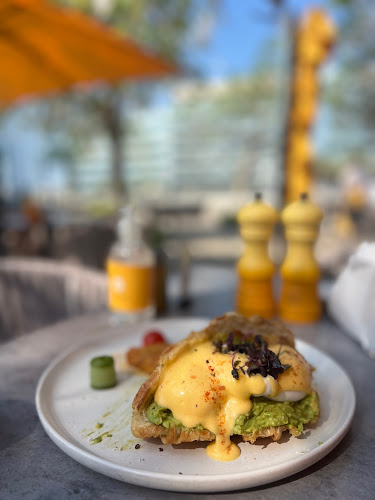 Comentarii opinii despre Eggcellent - Al Bateen