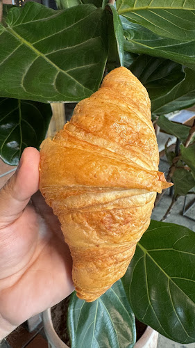 Flavors Grill Abu Dhabi - Abu Dhabi