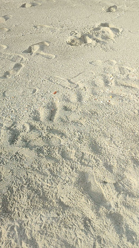 Comentarii opinii despre Tim Hortons - Al Heera Beach Waterfront