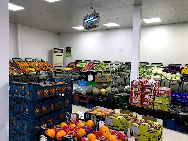 Comentarii opinii despre المجالس لتجارة الخضار والفواكه