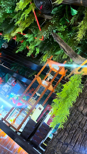 Opinii despre Wood House Restaurant Ajman în Ajman - Hospitality and gastronomy