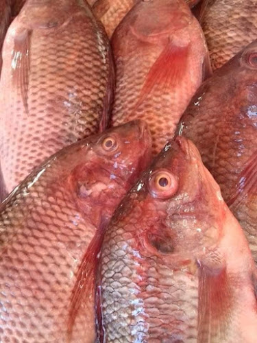 Dawreena Resturant & cafe - Fujairah