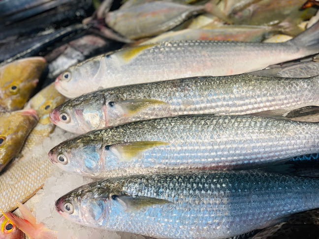 Comentarii opinii despre شوي الأسماك الشامخة