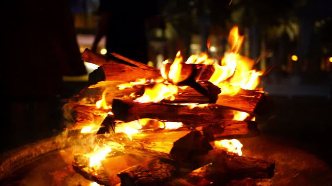 Opinii despre B-Lounge în Abu Dhabi - Hospitality and gastronomy