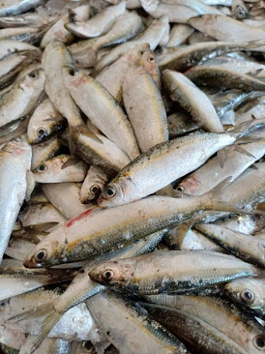 مطعم اسكندراني للأسماك والماكولات البحرية - Ras Al-Khaimah