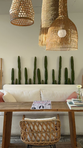 Calma cafe - Hospitality and gastronomy