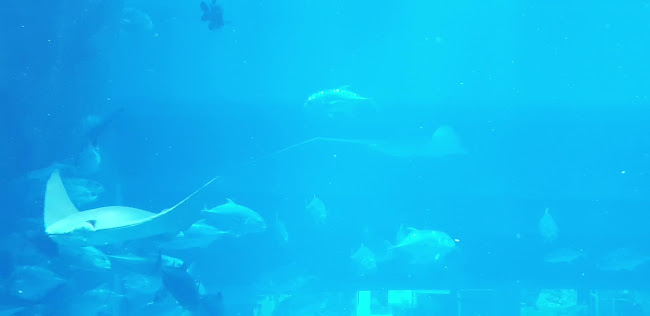 Unit FF - 156 - 1 - Financial Ctr St - Downtown Dubai - Dubai