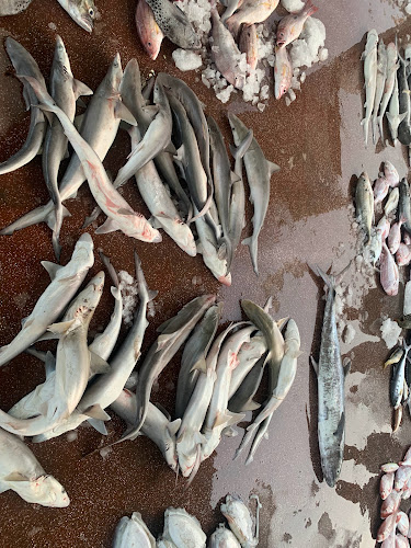 J78H+6GV - Corniche Street 101 - Jazerat Alhisn - Sharjah