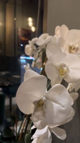 Opinii despre Dhekryat Lebanese Restaurant în Ras Al-Khaimah - Hospitality and gastronomy