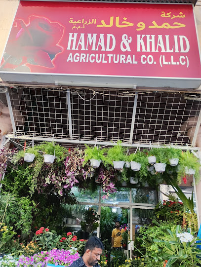 Hamad Khalid Agricultural Co LLC