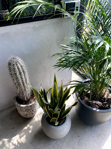 Señor Gonzales - Cocina Mexicana - Dubai