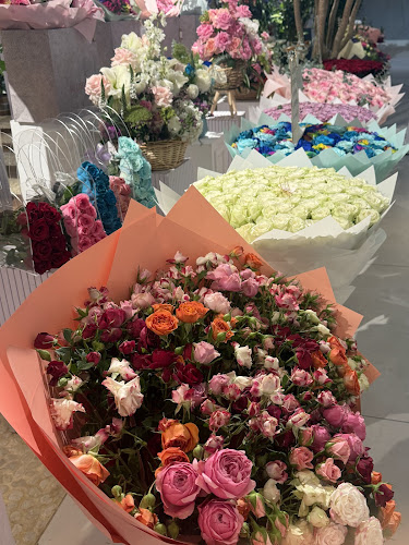 Comentarii opinii despre Blomma