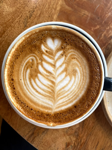 Comentarii opinii despre TTMB