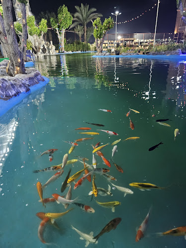 BABA FARM HOUSE - Hospitality and gastronomy