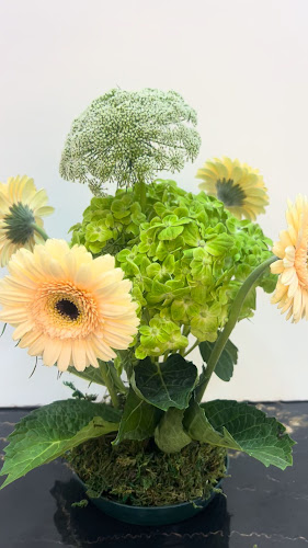 Brillante Flowers | Florist | Flower Shop in Abu Dhabi - Abu Dhabi