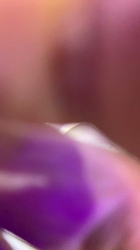 World Grills Cafeteria -کافتیریا عالم المشاوی - Hospitality and gastronomy