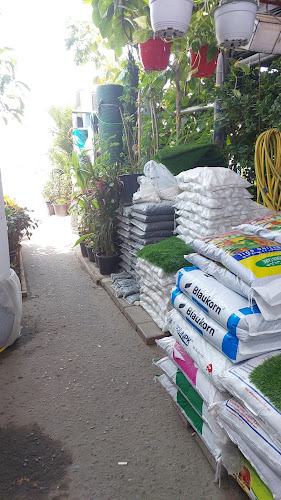 Emirates garden market