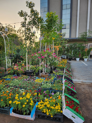 Comentarii opinii despre RR FOLWERS