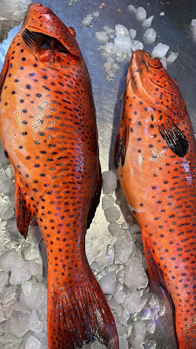 Sheikh Salem Bin Sultan Rd - Al Maireed - Ras Al Khaimah