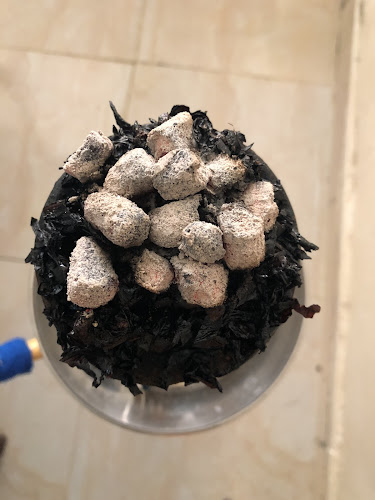 Opinii despre Jumeirah Cafe în Fujairah - Hospitality and gastronomy