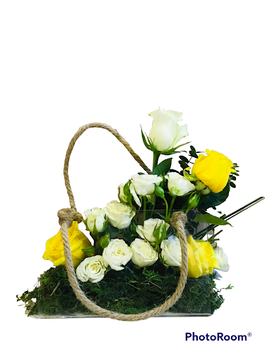 Comentarii opinii despre Dar Al Yasmin