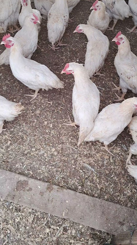 الحير - سويحان - طريق أبوظبي - Sweihan - Shabiat Suweihan - Abu Dhabi