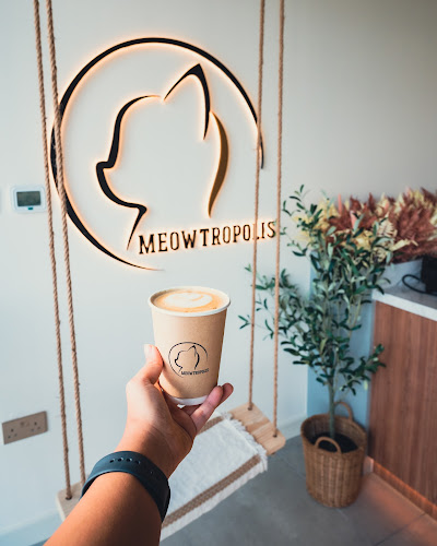 Meowtropolis Cat Cafe - Dubai