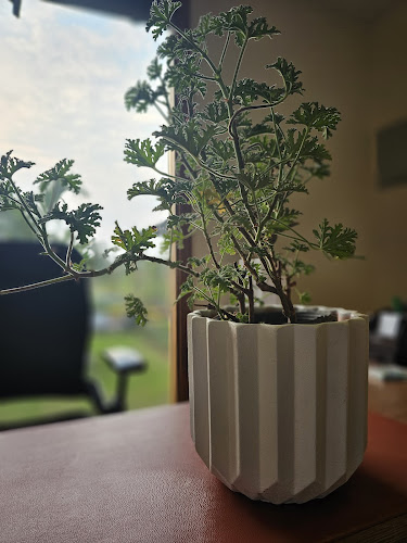 Opinii despre BABA FARM HOUSE în Ras Al-Khaimah - Hospitality and gastronomy