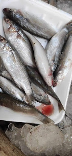 Al Faseel - Fujairah