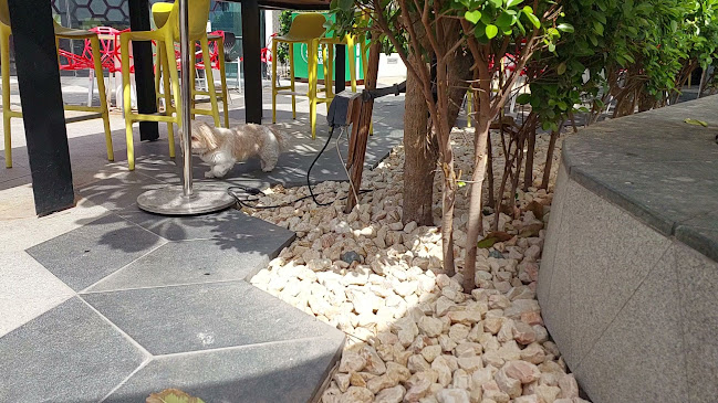 Opinii despre Oui Sports Bar + Terrace în Dubai - Hospitality and gastronomy