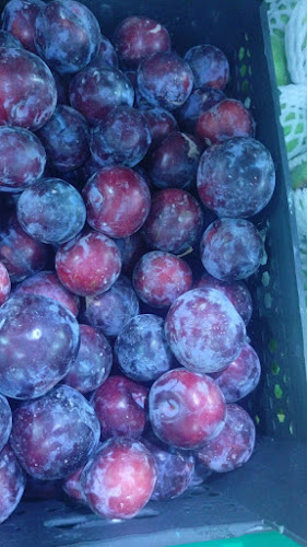 Comentarii opinii despre الخيرات الدمشقية الملك فيصل الشارقه