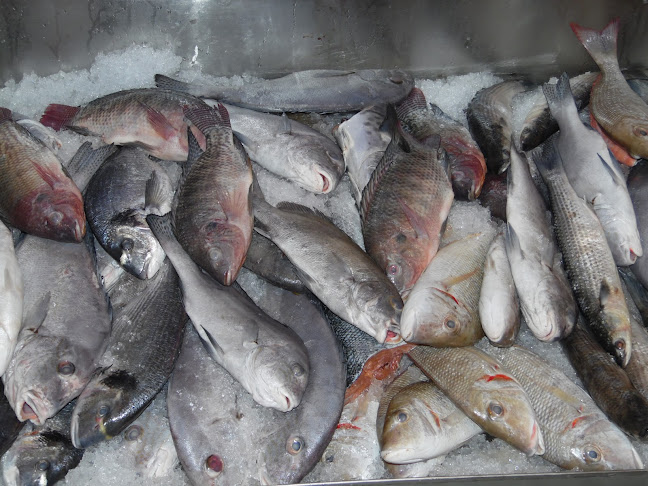 Opinii despre TABAQ AL HIJAZI RESTAURANT SHARJAH în Sharjah - Hospitality and gastronomy